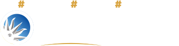 partido-web.png